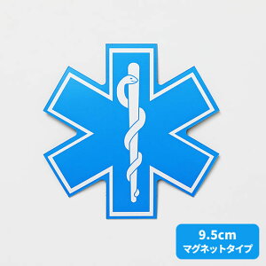 ylR|XΏۏiz X^[IuCt}OlbgXebJ[9.5cm