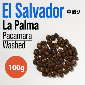 s100gtEl SalvadoriGTohjLa Palma Pacamara Washed -XyVeBR[q[ KvR[q[ R[q[Mtg