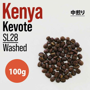 s100gtKenyaiPjAjKevote SL28 Washed  - XyVeBR[q[ KvR[q[ R[q[Mtg