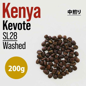 s200gtKenyaiPjAjKevote SL28 Washed  - XyVeBR[q[ KvR[q[ R[q[Mtg