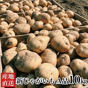 じゃがいも 10kgの人気商品・通販・価格比較 - 価格.com