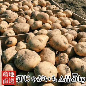 じゃがいも 5kgの人気商品・通販・価格比較 - 価格.com