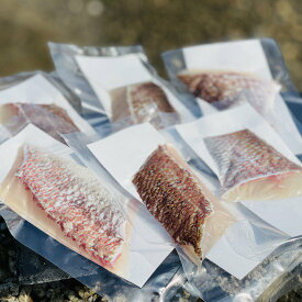 【送料無料】 百年漁師の真鯛 切身 70g×6パック 真鯛 鯛 タイ 魚 海鮮 鹿児島 おつまみ ご飯のお供 ごはんのお供 ご飯のおとも 産地直送 お取り寄せ グルメ ご当地 ご当地グルメ 食品 食材 食べ物 グルメ ギフト プレゼント お中元 御中元 母の日 父の日