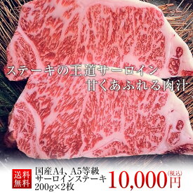 サーロインステーキ 400g (200g×2枚) 冷蔵 贈答用 ステーキ肉 黒毛和牛 A4 A5 ランク ギフト 国産 霜降り ステーキ 和牛 高級 焼肉 お取り寄せグルメ 牛肉 高級 肉 お歳暮 内祝 贈り物 プレゼント お祝い 誕生日 お正月 乙川畜産食品 乙ちゃん 敬老の日