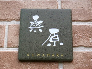 y500~OFFN[|^P5{z \D ^C y C^A _[NO[ z ˌ ` 146p ^C\D  \t ȒP t v[g Lbgt 񐢑 Ԓn Z I[_[