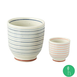 XgCv Rbv dR a H _  k  蕨 j v[g {  mSTn