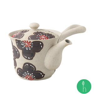 ꒿~ SMyX}{ | (18.5×15×11cmEeʁF460cc) l ꐽ t}{ a H _  k  蕨 j v[g {  