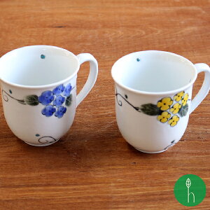 Ԃǂ }OJbv(EF11.5×8.5×9cm/ 310cc) l K  aH }OJbv ԕ    v[g 