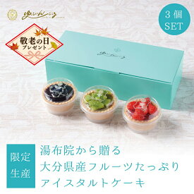 [限定生産] ゆふいんここるアイスタルト ケーキ セット 3個セット 100個限定 プレゼント ギフトにもオススメ 洋菓子 手土産 ギフト プレゼント お返し お礼 誕生日 内祝 タイムセール スーパーセール