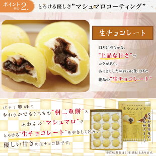 黄金のぉまい玉チョコバナナ福井銘菓お歳暮お土産スイーツギフト福井弁お菓子