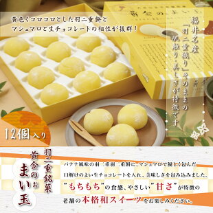 黄金のぉまい玉チョコバナナ福井銘菓お歳暮お土産スイーツギフト福井弁お菓子