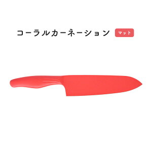 yԌP10{z O t[V[Y XeX J[ 165mm ւ̐n  { ؂ꖡ I[XeX O J[  ƒp v [J[  y y ؂ 