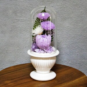 26��01:59�܂ő労�ӍՃ|�C���g7�{! ���� �v���U�[�u�h�t�����[ ���d�p ������ �� ���{ ���E���C�E�򉻂�h�� �e���x�[�X�ɂ��ĐS�����߂Ă���肵�܂� ���ꂢ�ȏ�ԂŒ����� bd981 Version03 ��