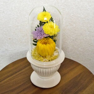  vU[uht[ dp   { ECE򉻂h ex[XɂĐS߂Ă肵܂ ꂢȏԂŒ bd981 Version03 Ύ󒍂܂ 㕔̓KXh