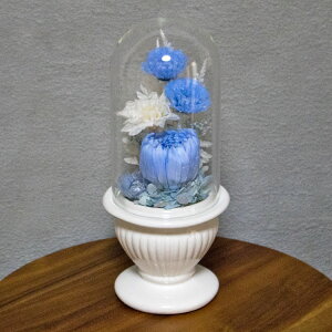  vU[uht[ dp   { ECE򉻂h ex[XɂĐS߂Ă肵܂ ꂢȏԂŒ bd981 Version03 Ύ󒍂܂ 㕔̓KXh