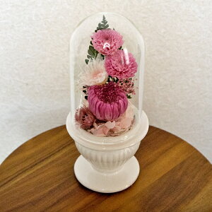  vU[uht[ dp   { ECE򉻂h ex[XɂĐS߂Ă肵܂ ꂢȏԂŒ bd981 Version03 Ύ󒍂܂ 㕔̓KXh