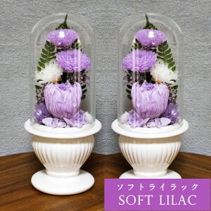 vU[uht[   ؂Ȑl̋{ dp ECE򉻂h KXh[^ ex[Xɂ2̂ԃZbg ꂢȏԂŒ bd981 㕔̓KXh[ 