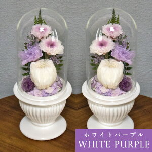 vU[uht[   ؂Ȑl̋{ dp ECE򉻂h KXh[^ ex[Xɂ2̂ԃZbg ꂢȏԂŒ bd981 㕔̓KXh[ 