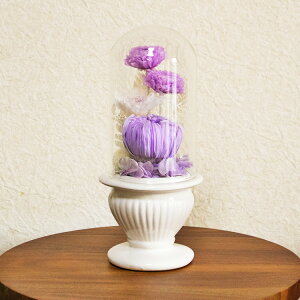  vU[uht[ ֋eꂢȕ { ECE򉻂h bd989 Ύ󒍂܂ 㕔̓KXh[ ͓