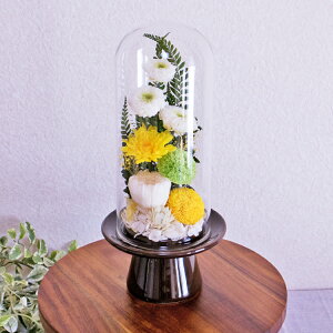 12/7܂10%OFFN[|gp!  vU[uht[ dp KXh[ p  傫 Version03 TENMOKU bd992 / { Ύ󒍂܂ Ԃ ẻԂō\Ă܂