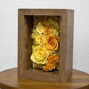 yN[|300~OFFz vU[uht[ ~jTCY zɓ ސEj  vU[uht[t[ fm101 /11S߂ĒJɂ肵܂