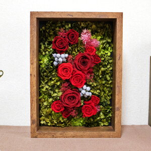 vU[uht[ z 傫 z A4TCY 蕨 Mtg fm117 Version08 /  j a Mtg 蕨 v[g җ Ê Ďj vw̓ ɏ