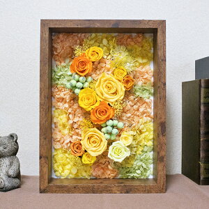 vU[uht[ z 傫 z A4TCY 蕨 Mtg fm117 Version08 /  j a Mtg 蕨 v[g җ Ê Ďj vw̓ ɏ