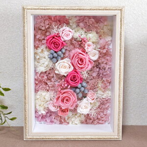 yN[|300~OFFz vU[uht[ j JXj t[ zɓ Mtg fm28711S߂ĒJɂ肵܂ ̓ av[gɊ΂܂ 