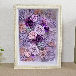 SALEԒ|Cg5{ vU[uht[ j JXj t[ zɓ Mtg fm28711S߂ĒJɂ肵܂ ̓ av[gɊ΂܂ 