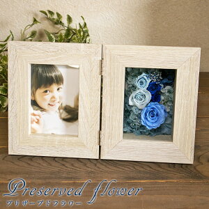 aj җj vU[uht[ ʐ^ Mtg fm350 /11S߂ĒJɂ肵܂ j v[g  җ Ďj ɏ