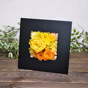 vU[uht[ a j ubNt[ɃAW ` XNEFA fm690