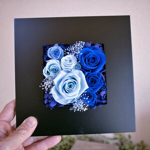 vU[uht[ a j ubNt[ɃAW ` XNEFA fm690