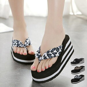 T_ fB[X  ₷  T}[T_ ɂȂ ؍ t  r[`T_ gOT_ Xbp r gx s C Vv LC  킢 JWA