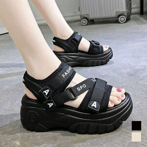 X|[cT_  fB[X T_ RtH[g T_ r[`T_ y C C X|[c  ₷ AEghA r Ղ  s C Vv JWA 