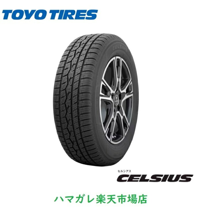 超バリ山 225 65 17 TOYO オールシーズン