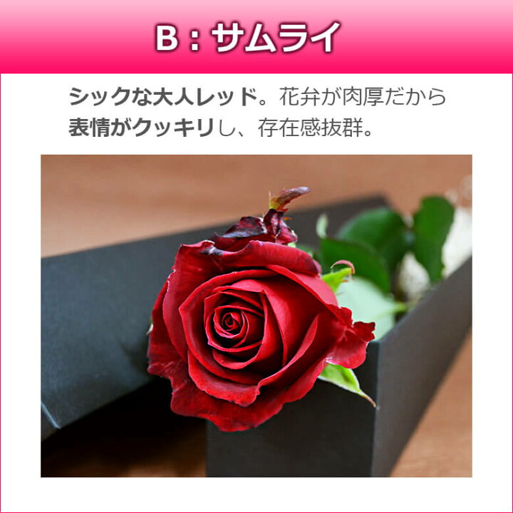 楽天市場 大輪バラの花束 1本 一輪box 薔薇 花束 即日発送14時までok 結婚記念日 誕生日 ホワイトデー プレゼント 妻 ボックス プロポーズ 一本 1輪 箱入り 両親 バラの花束 通販 Hana Rug