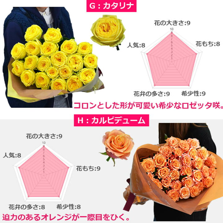楽天市場 大輪バラの花束 本以上で送料無料 大臣賞 本数指定 薔薇 ホワイトデー プレゼント 結婚記念日 誕生日 妻 プロポーズ ギフト 花 10本 30本 バラの花束 通販 Hana Rug