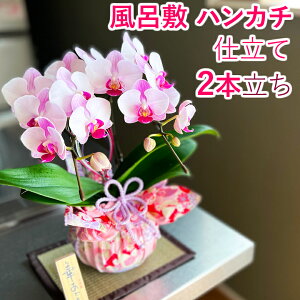 ~jӒ hV̓ sNnyC~dĂzv[g Mtg a JX ސEj j oYj j j 䋟  @ ~fB A Ԕ ԋ` c c  