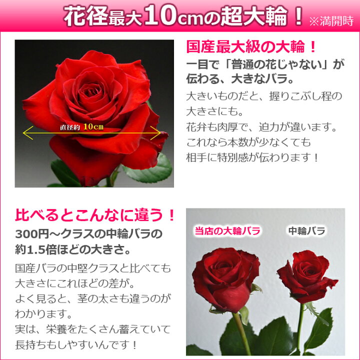 楽天市場 大輪バラの花束 本以上で送料無料 国産大臣賞で長持ち 本数指定ok 誕生日 ホワイトデー 長持ち プレゼント 結婚記念日 妻 ギフト 花 還暦祝い 10本 11本 12本 15本 本 30本 40本 50本 60本 薔薇 赤 バラの花束 通販 Hana Rug