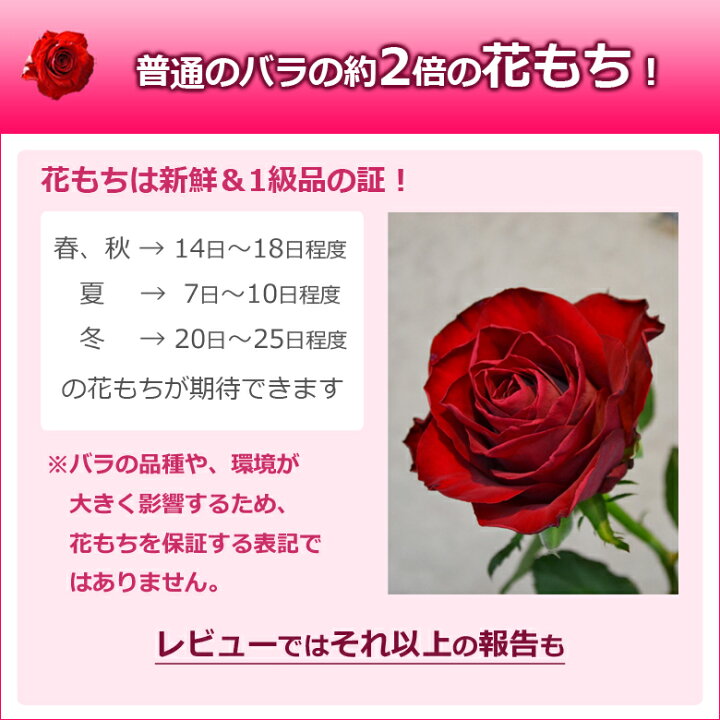 楽天市場 本以上で送料無料 大輪バラの花束 国産大臣賞で長持ち 本数指定ok 誕生日 ホワイトデー 長持ち プレゼント 結婚記念日 妻 ギフト 花 還暦祝い 10本 11本 12本 15本 本 30本 40本 50本 60本 薔薇 赤 バラの花束 通販 Hana Rug