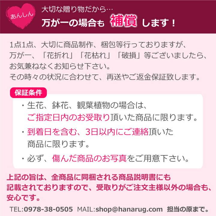 楽天市場 母の日 プレゼント アジサイ ひと回り大きい6号鉢 選べる18品種 あじさい 鉢植え 早割 ギフト 紫陽花 鉢花 花鉢 珍しい 希少 ダンスパーティー ピンク 青 ブルー 赤 送料無料 22 バラの花束 通販 Hana Rug 楽天市場 母の日 プレゼント アジサイ ひと回り大きい6号鉢 選べる18品種 あじさい 鉢植え 早割 ギフト 紫陽花 鉢花 花鉢 珍しい 希少 ダンスパーティー ピンク 青 ブルー 赤 送料無料 22 バラの花束 通販 Hana Rug
