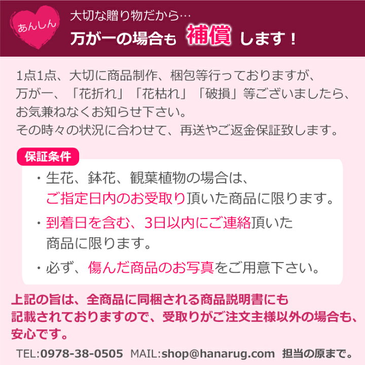 楽天市場 母の日 プレゼント アジサイ ひと回り大きい6号鉢 選べる18品種 あじさい 鉢植え 早割 ギフト 紫陽花 鉢花 花鉢 珍しい 希少 ダンスパーティー ピンク 青 ブルー 赤 送料無料 22 バラの花束 通販 Hana Rug