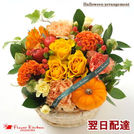 楽天市場 ハロウィン 花 観葉植物 花 ガーデン Diy の通販