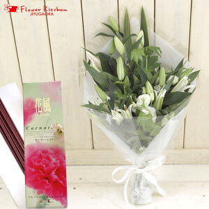 yZbgẑԑ{ ԕJ[l[VzyԁzmԂg{̂܂ԁyԁz m AWg  ~ ފ @  ybg 