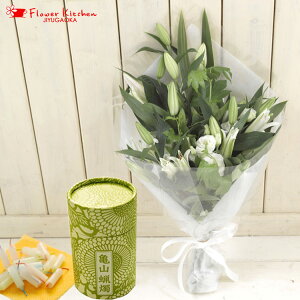 yZbgẑԑuaVvaV10XC@MtgZbgJ}[\N r  p i  ~ ފ r r Nꌇ V~ FKAA
