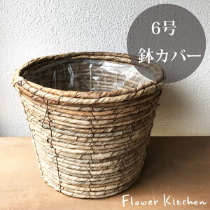 ()oiiۂ6 Jo[ ϗtA  oii ㎿ȔJo[ i`Jo[ ϗtAɍœKł CeAO[ ꔫJo[ 6 FKTS o^C z