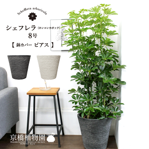 y25P5{IzyubNtCf[N[|LIzyIׂrAXJo[tzzRJ|bN8yVFtzyhtJmLzy~hTCYz