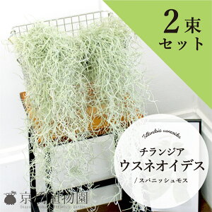 ySSN[|zyGAvcz`WAEEXlICfX/XpjbVXy2ZbgzyCeA  lC yV ʔ Mtg v[gz