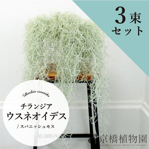 ySSN[|zySSizyGAvcz`WAEEXlICfX/XpjbVXy3Zbgzy{[ՂzyCeA  lC yV ʔ Mtg v[