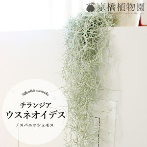 ySSN[|zySSizyGAvcz`WAEEXlICfX/XpjbVXy1zyCeA  lC yV ʔ Mtg v[gz